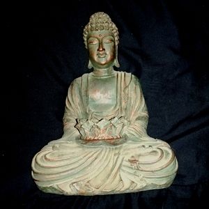 Meditative Buddha in Lotus 🪷